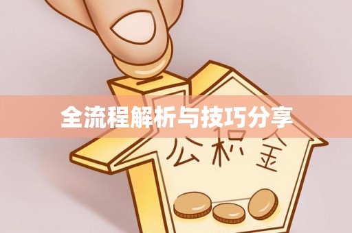 新晃全流程解析与技巧分享